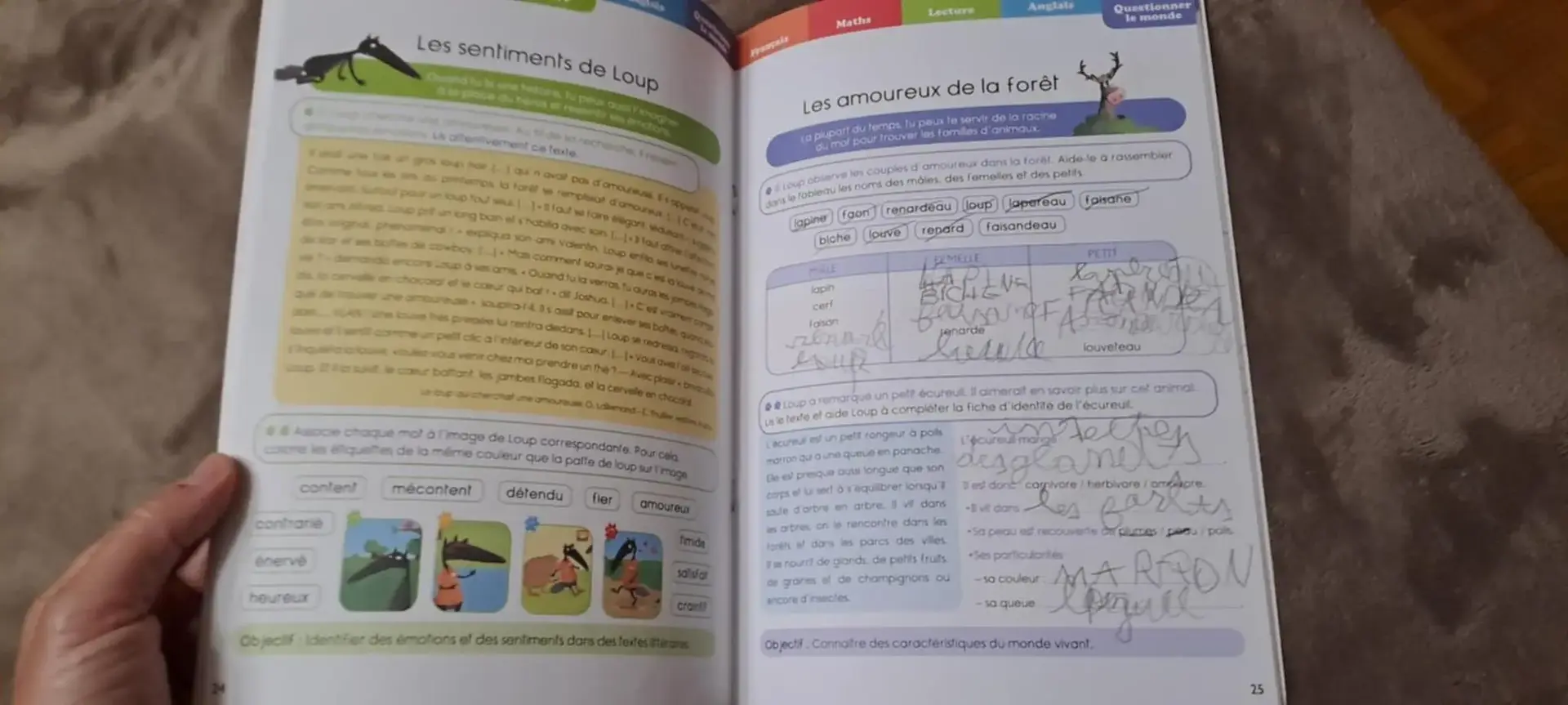 Don n°2