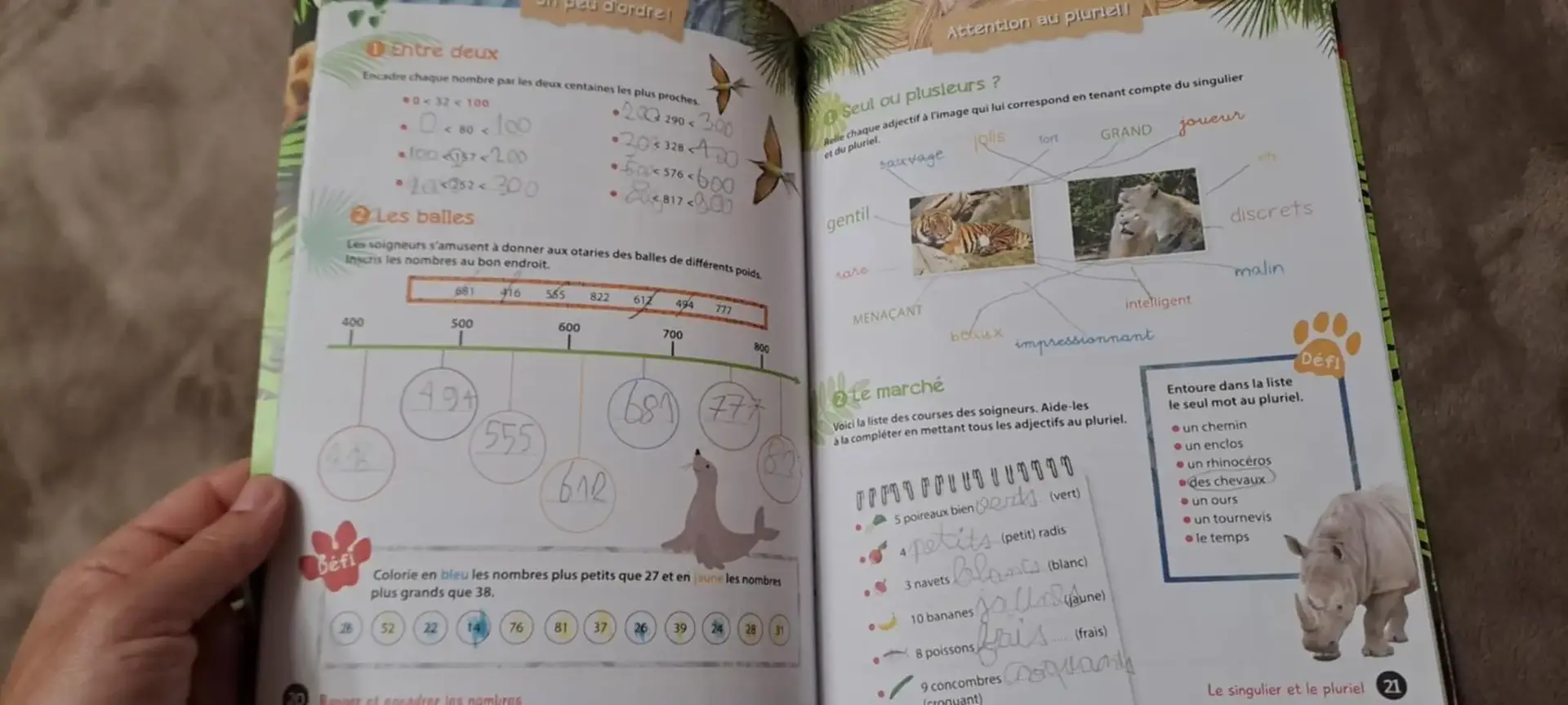 Don n°2