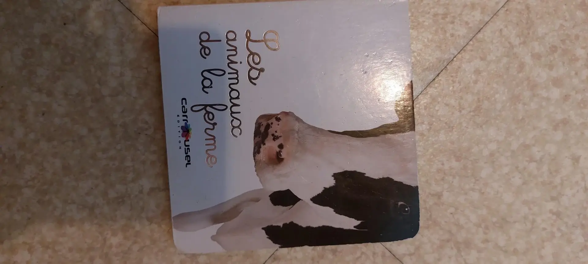 Don n°1