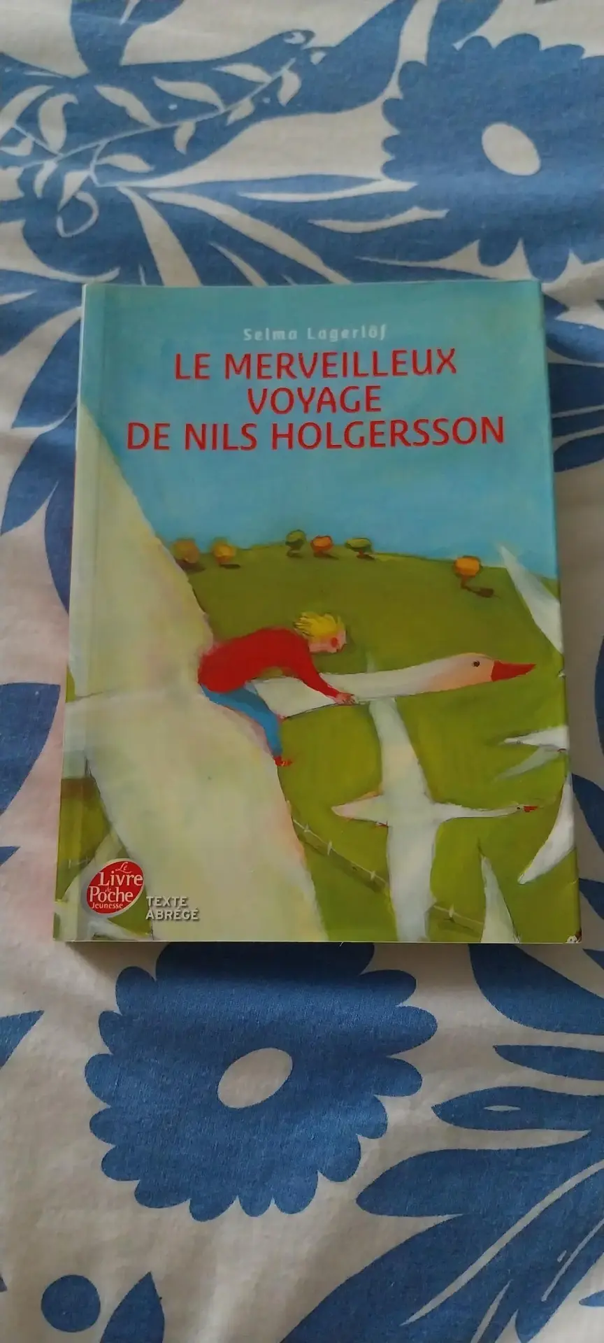 Don n°1