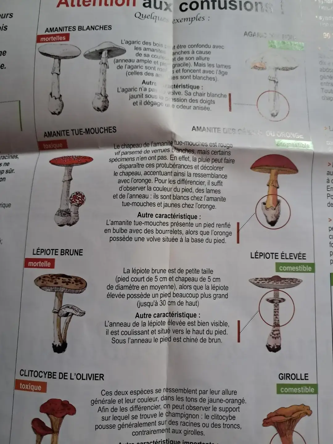 Don n°5