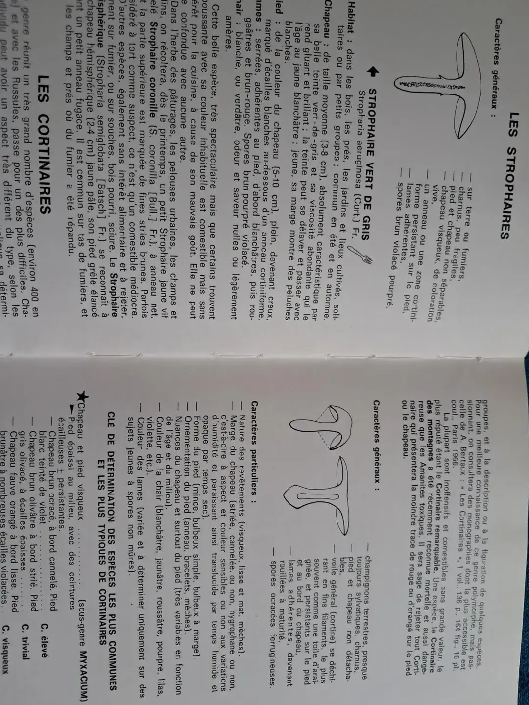 Don n°2