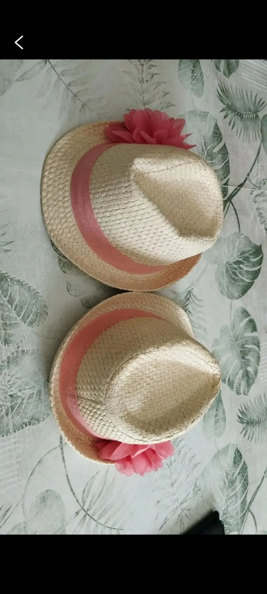 Don n°1