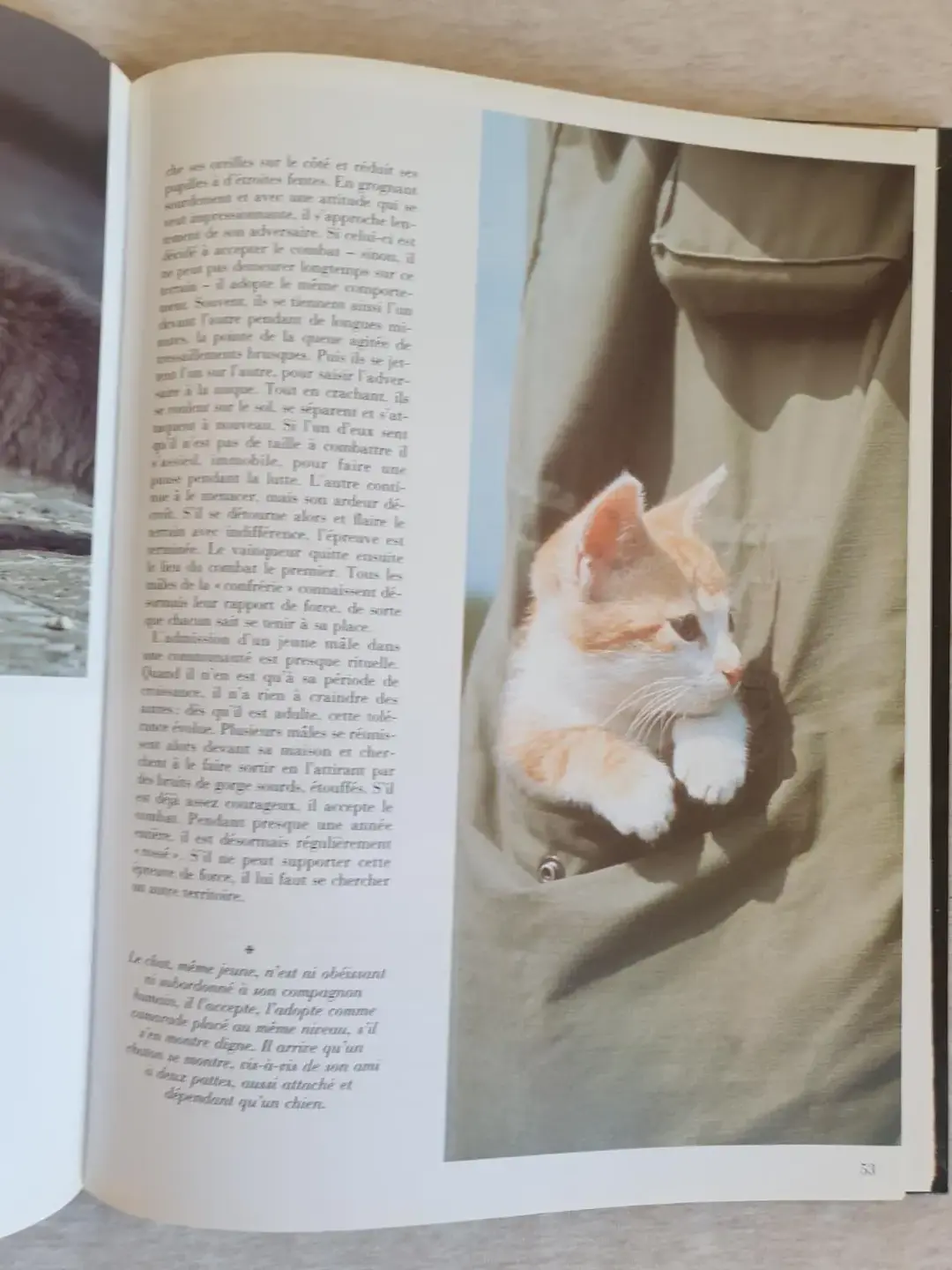 Don n°4