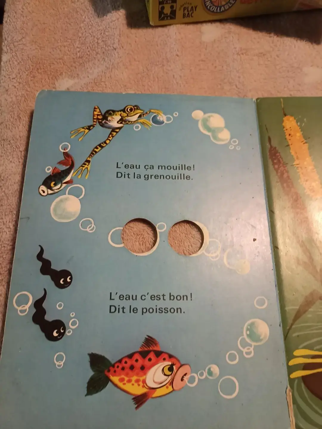 Don n°1