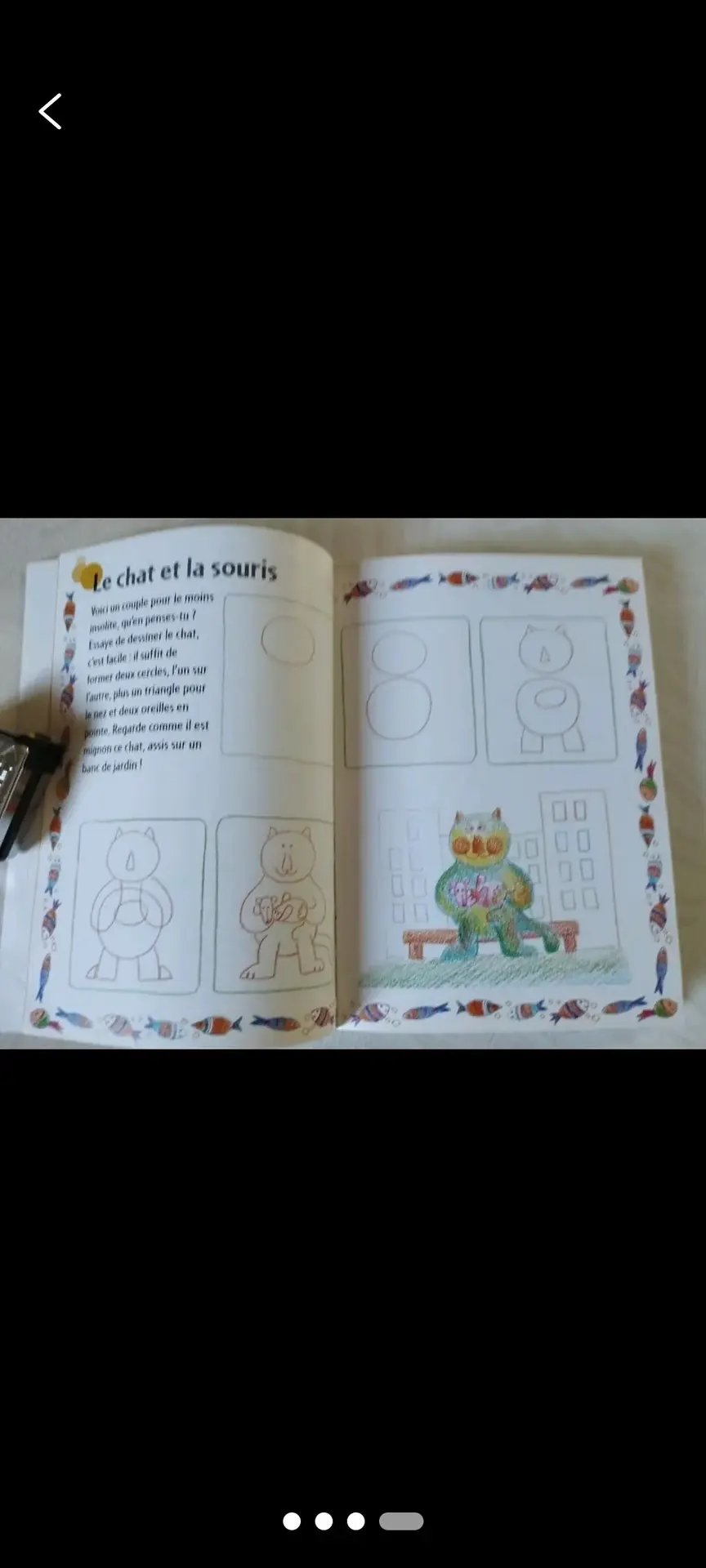 Don n°4