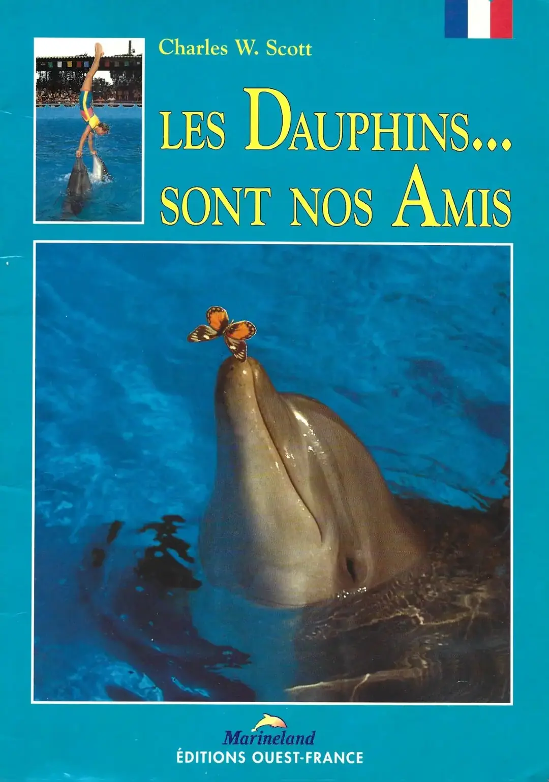 Don n°1