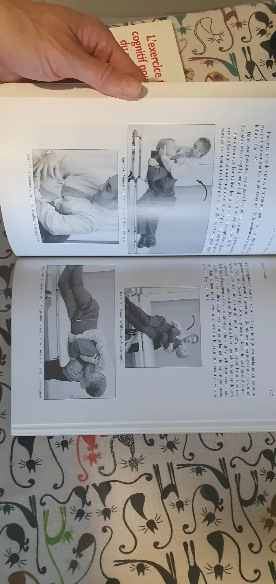 Don n°4