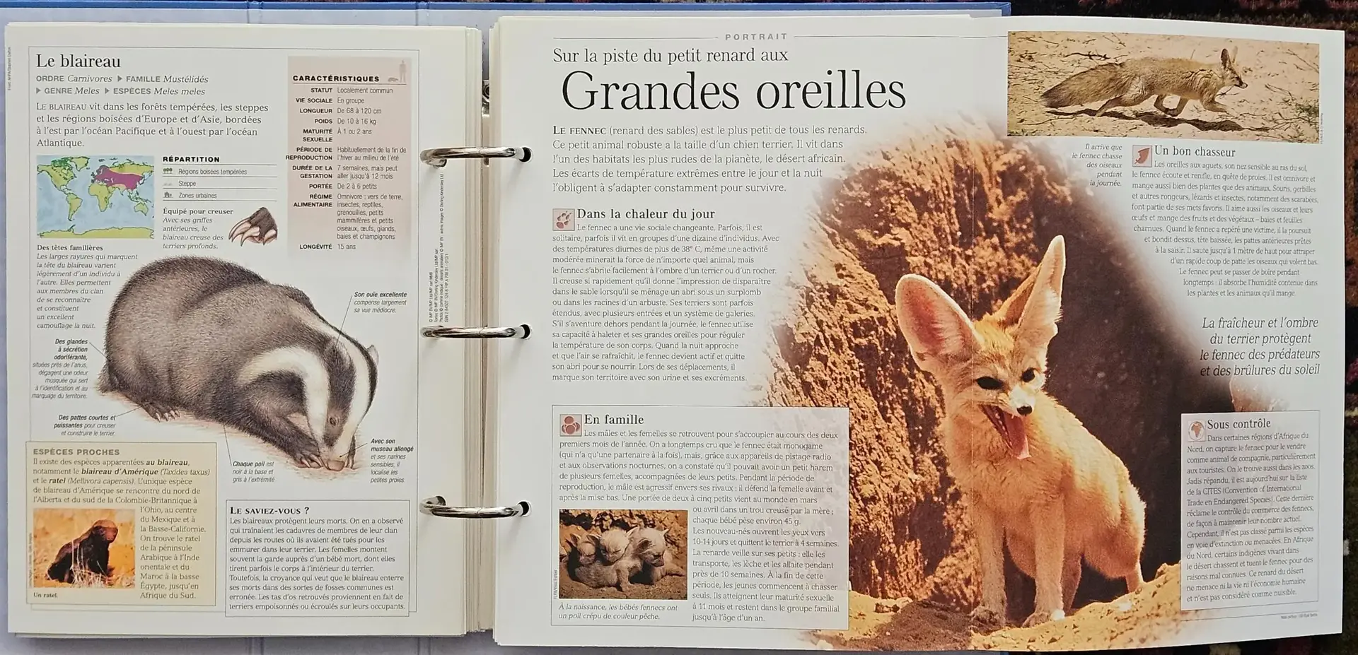 Don n°4
