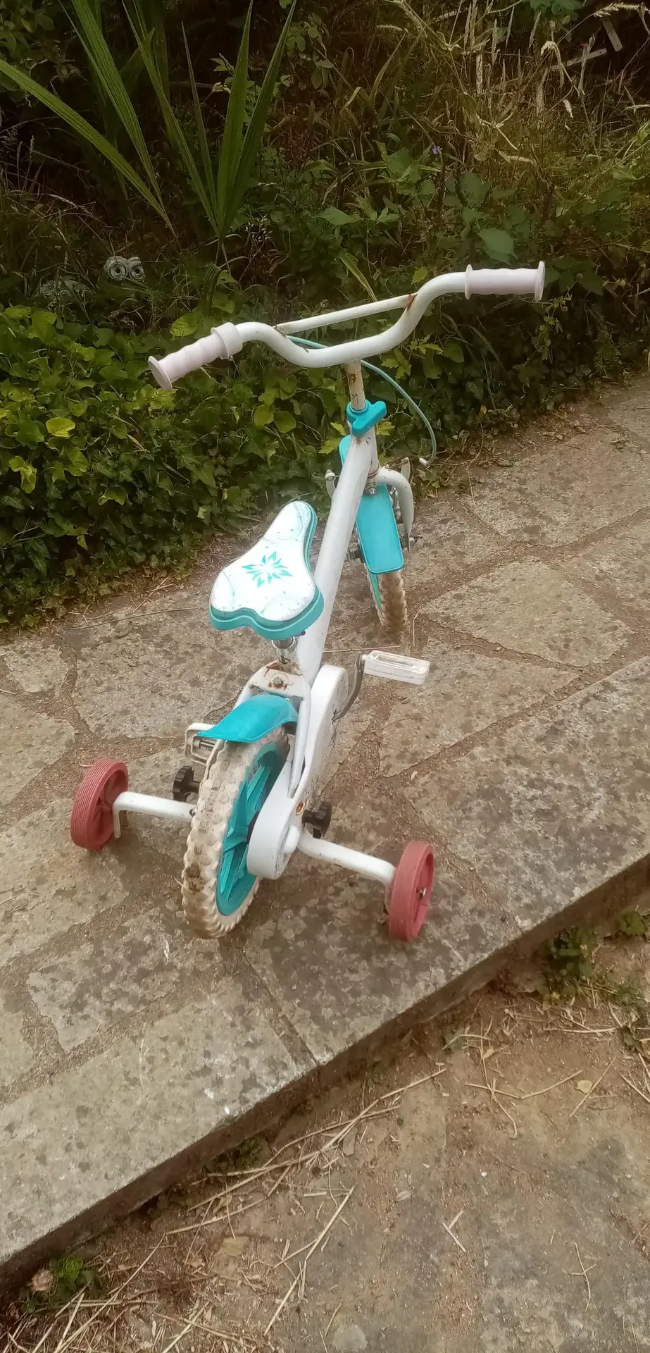 Don n°2
