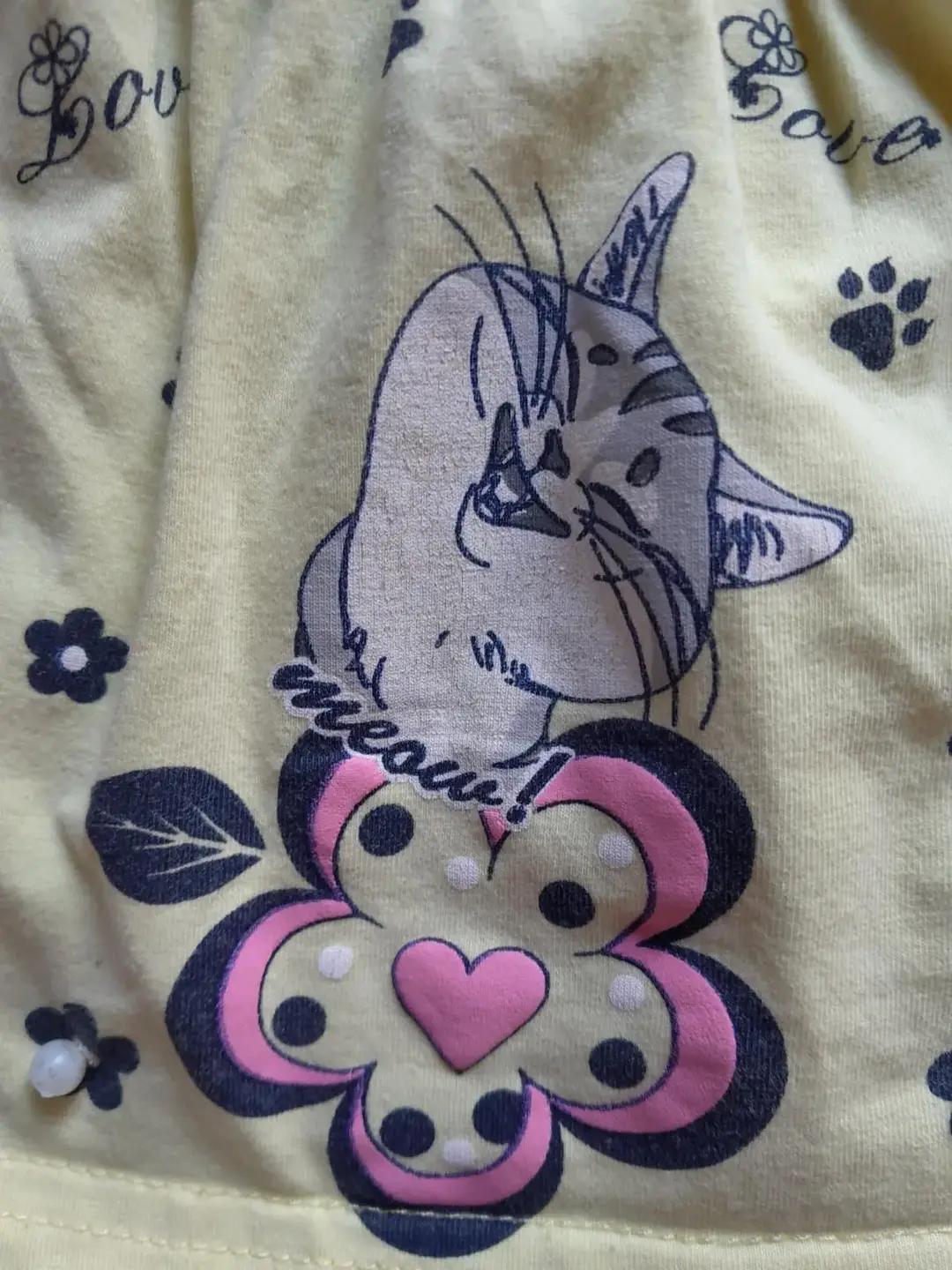 Don n°3
