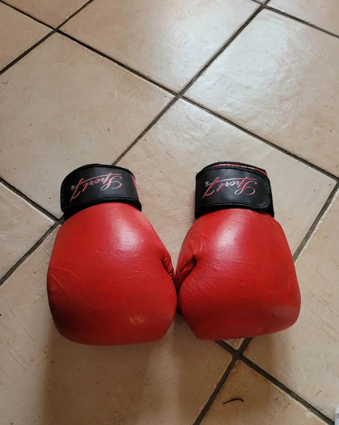 Don n°1