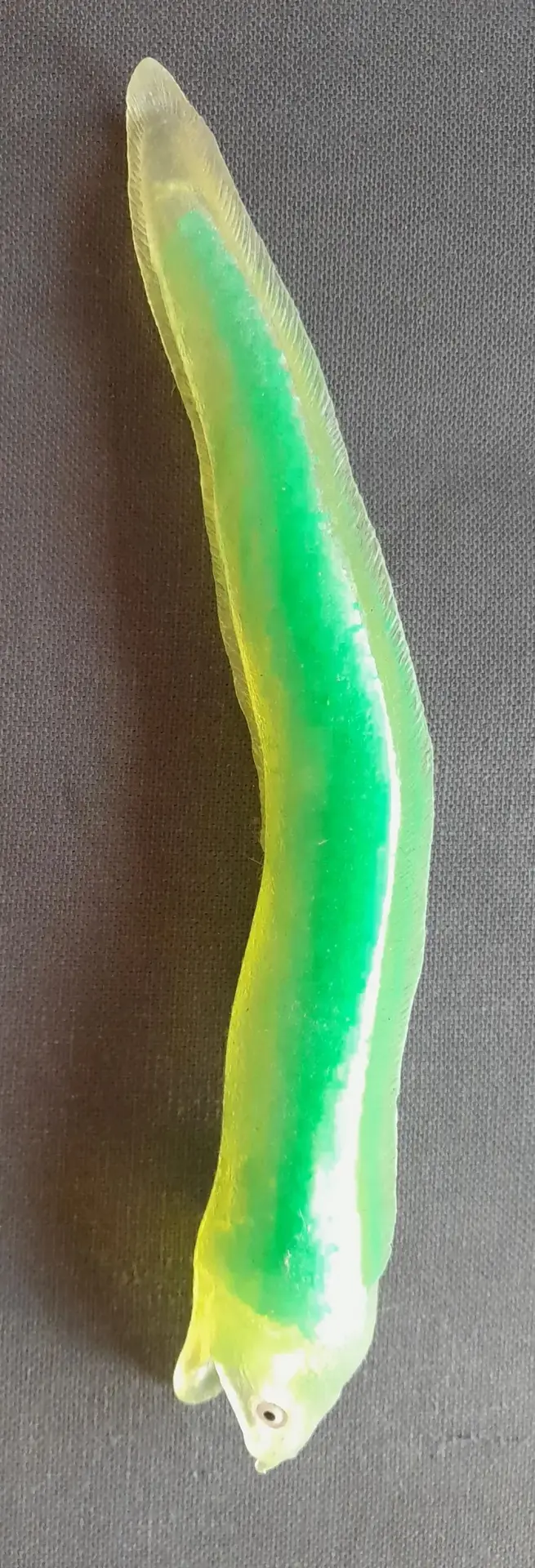 Don n°1