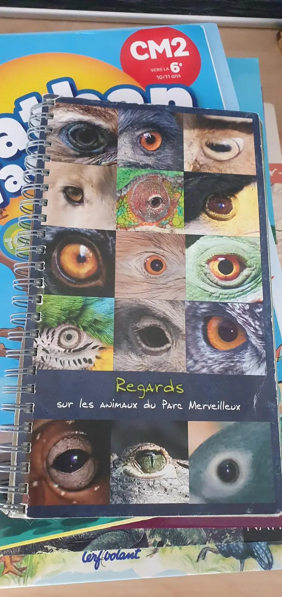 Don n°1