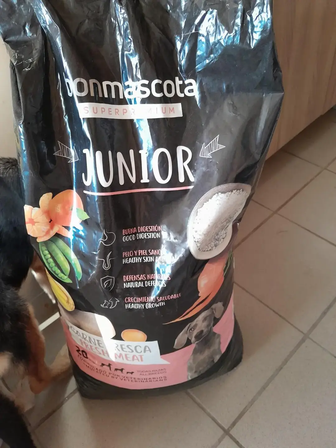 Don n°1
