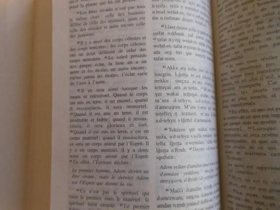 Don n°2