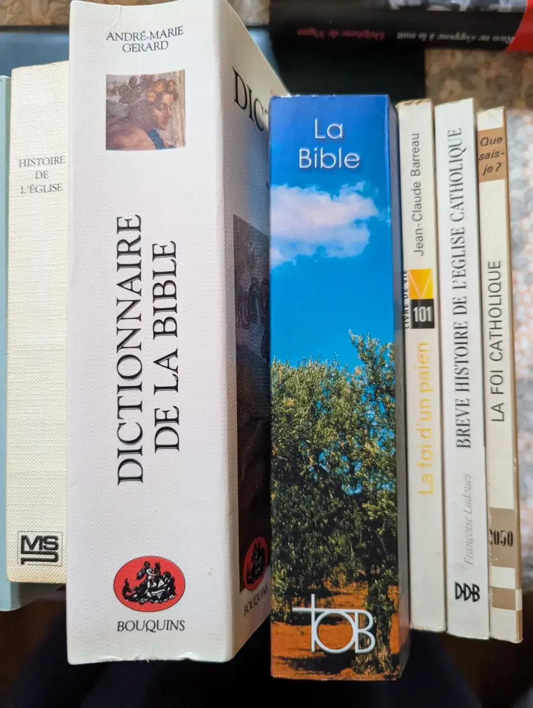 Don n°1