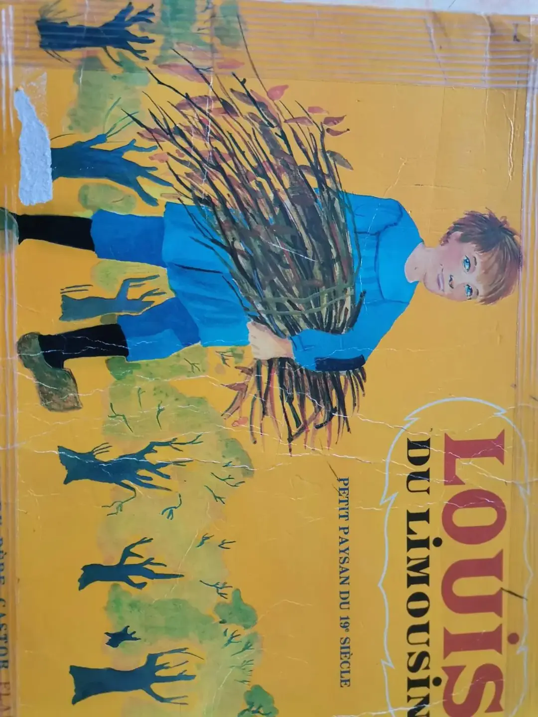 Don n°1