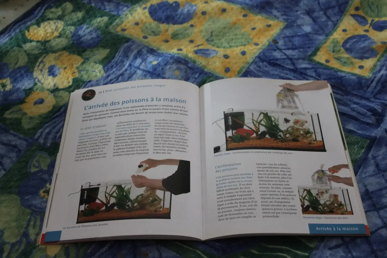 Don n°3
