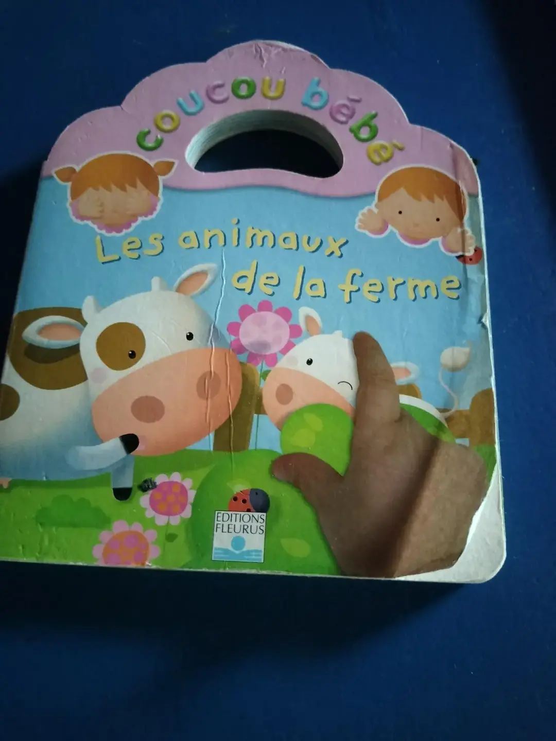 Don n°1