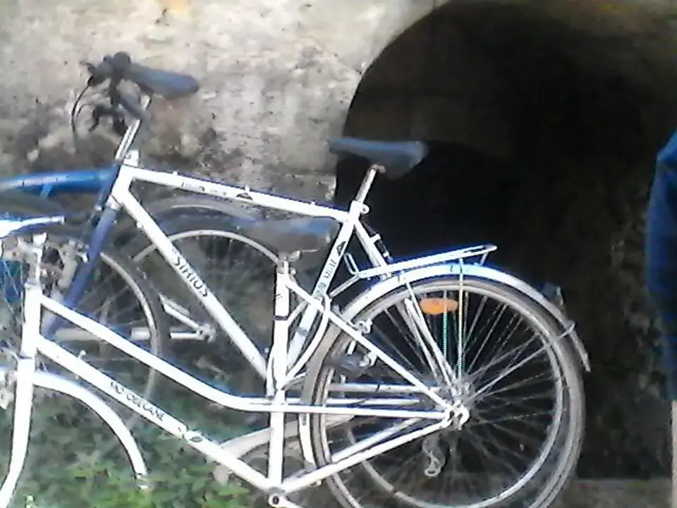 Don n°1