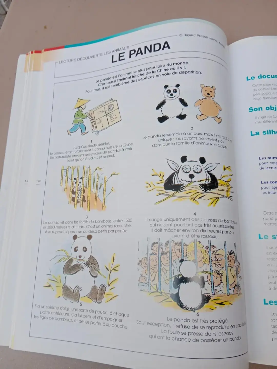 Don n°2
