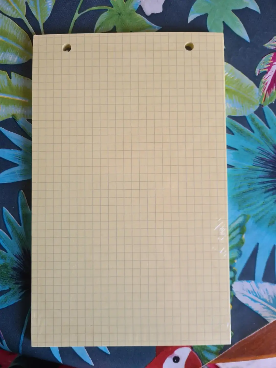 Don n°2