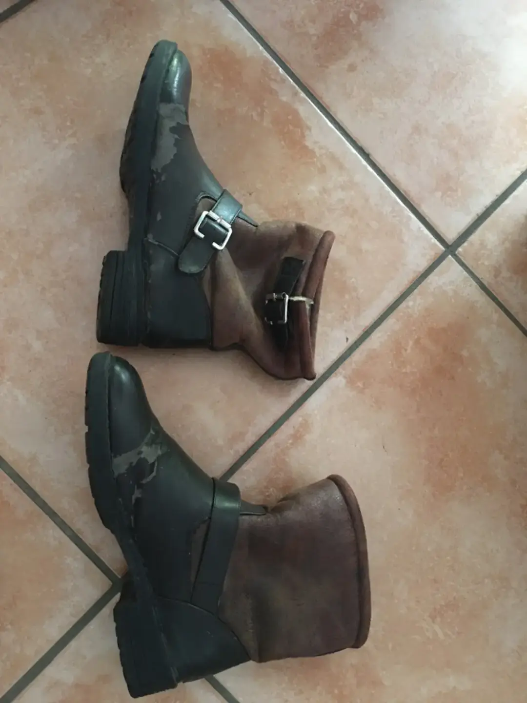 Don n°2