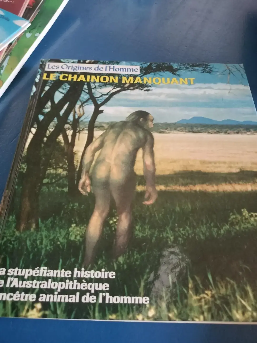 Don n°1