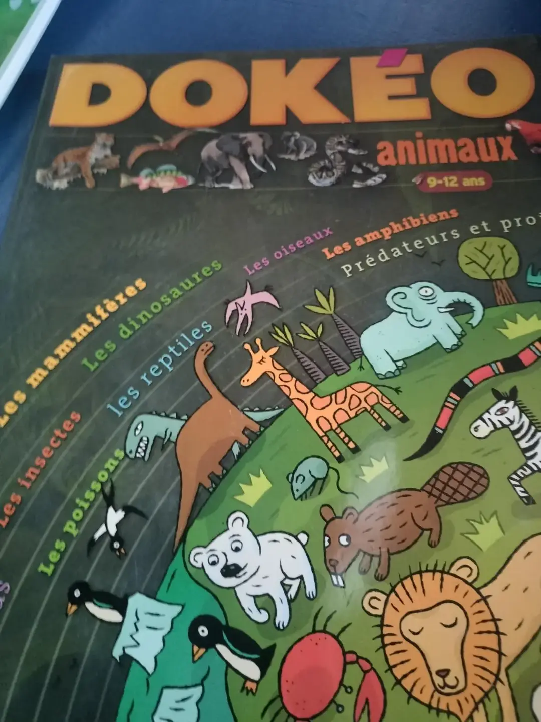 Don n°1