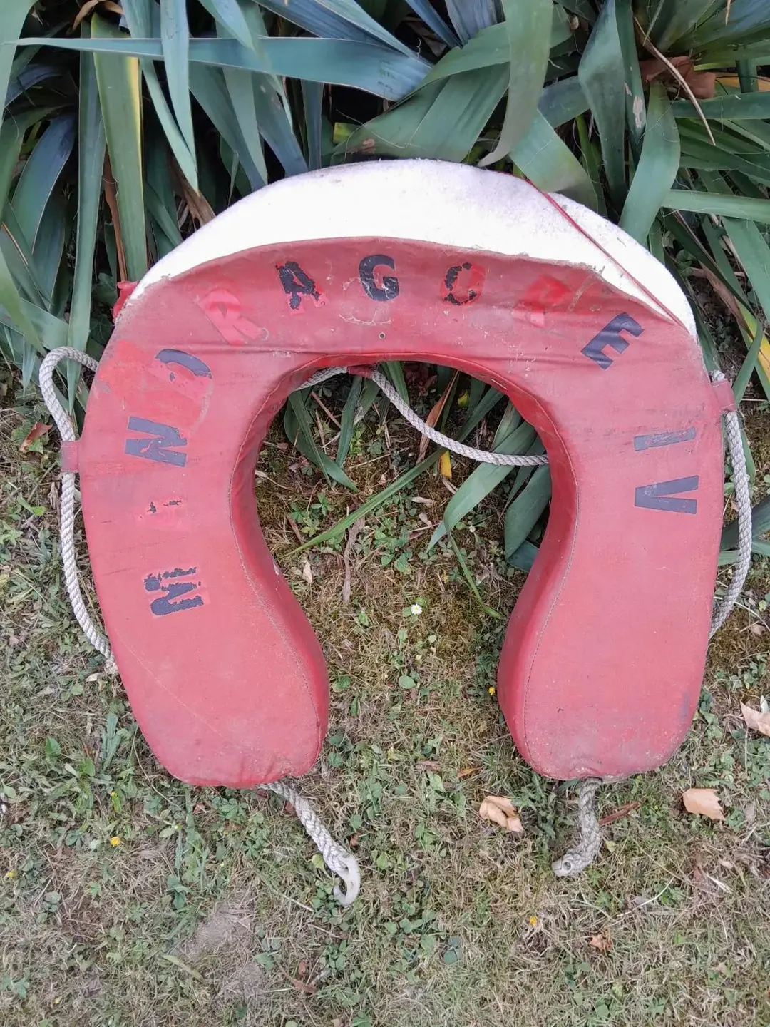 Don n°1