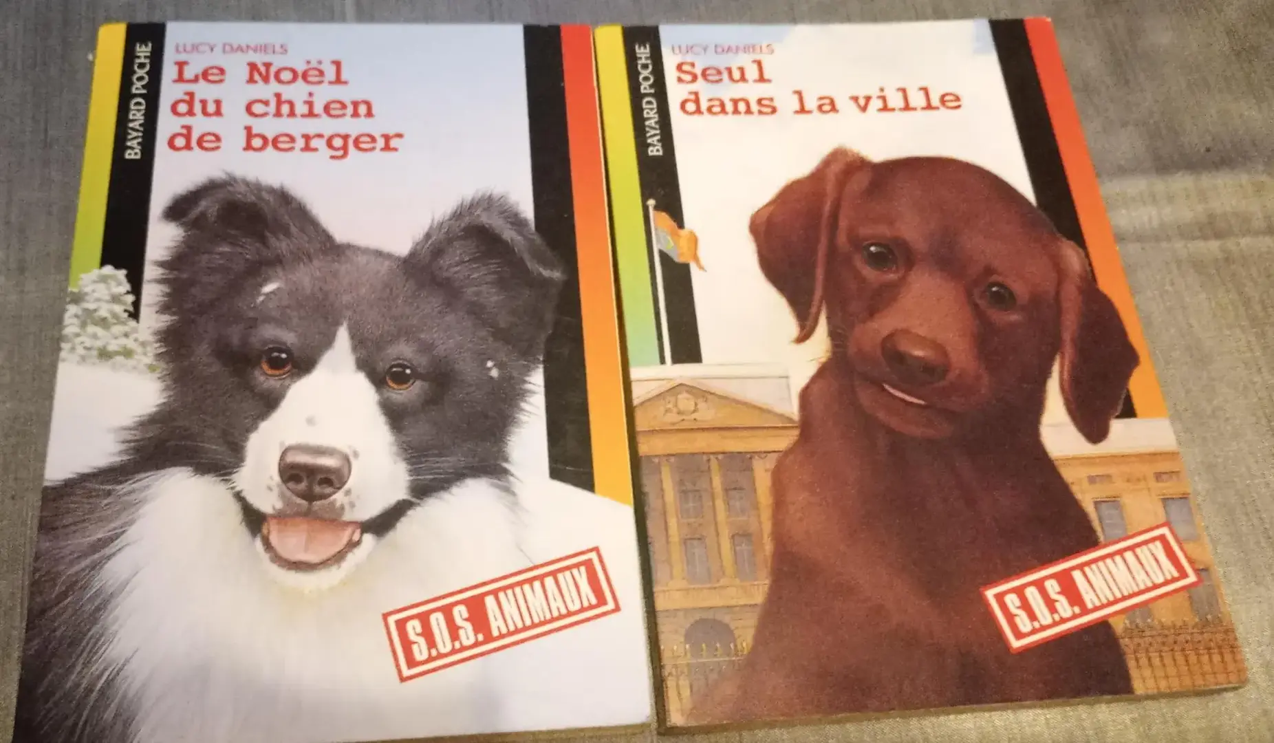 Don n°1