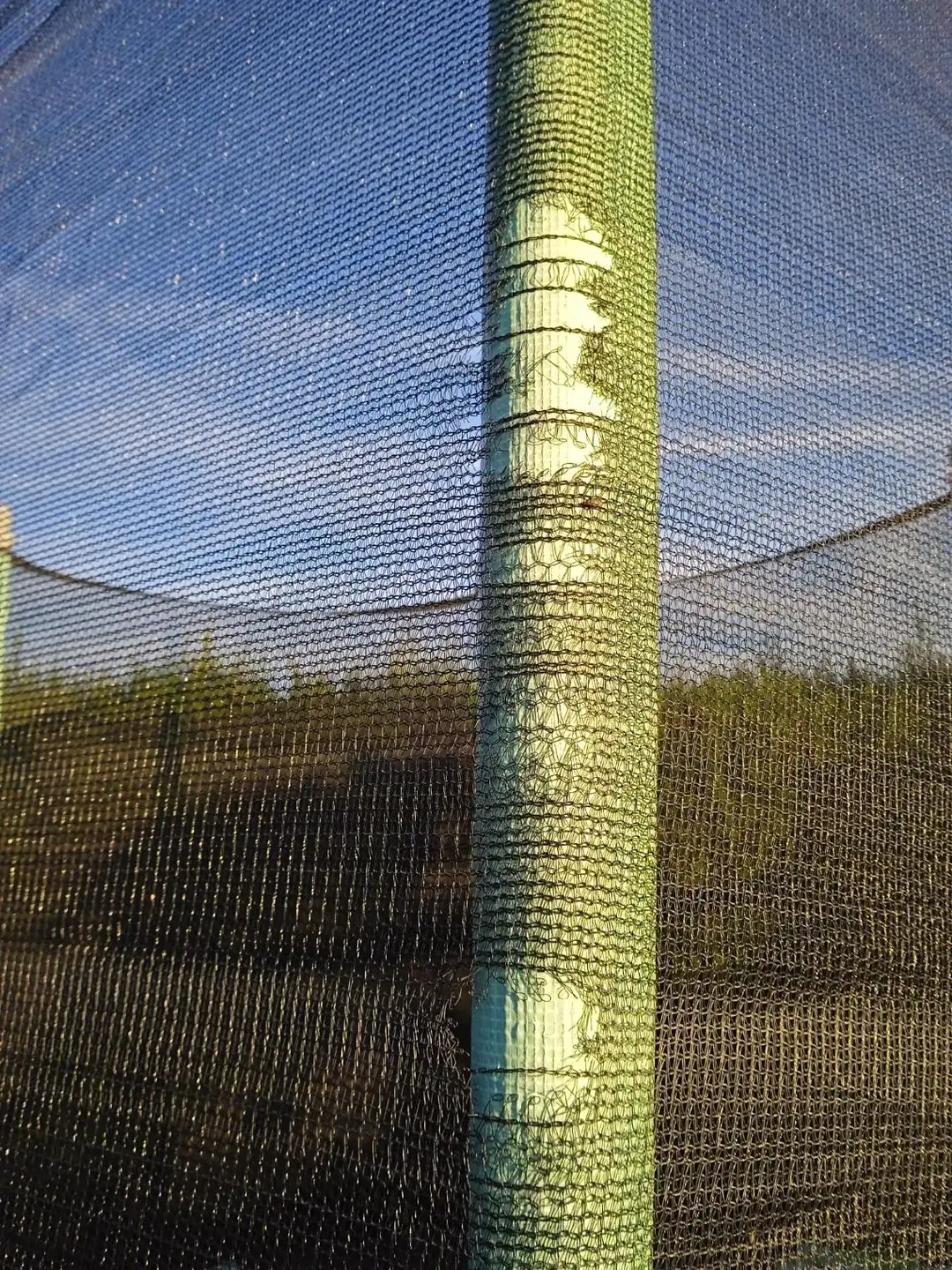 Don n°2