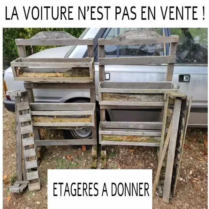 Don n°1