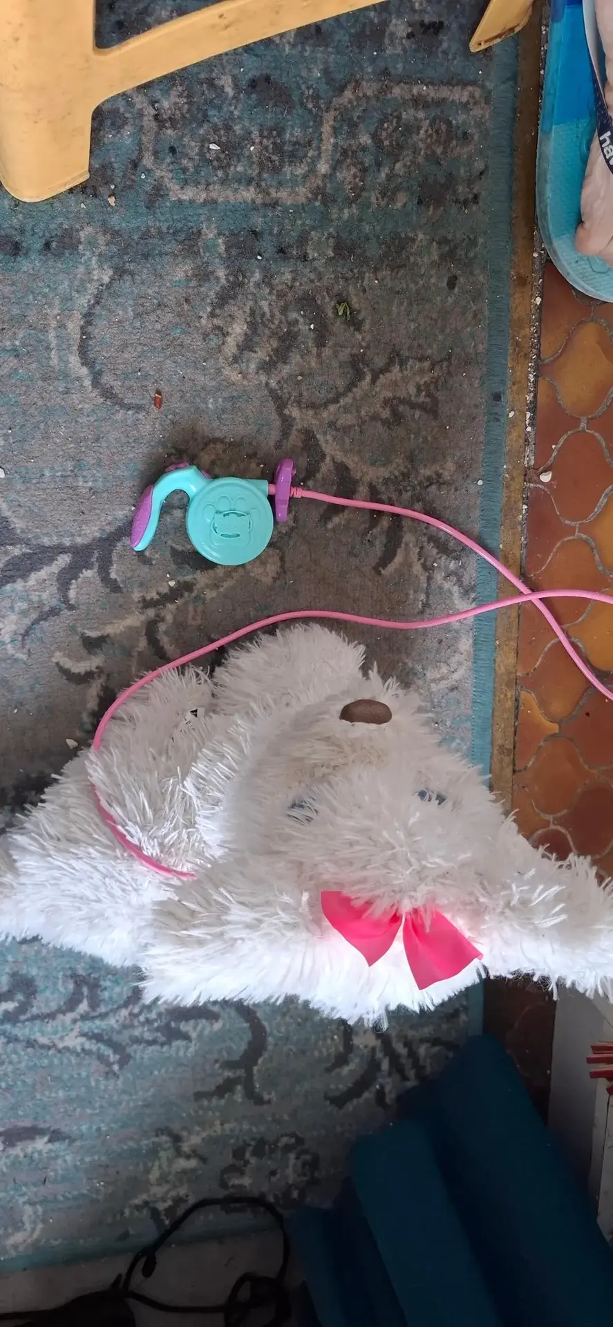 Don n°2