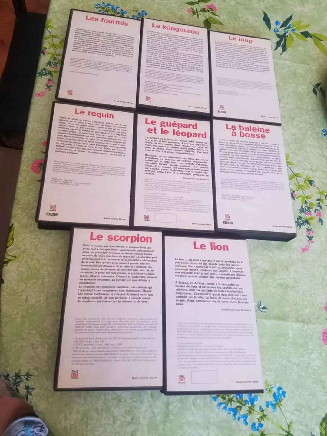Don n°1