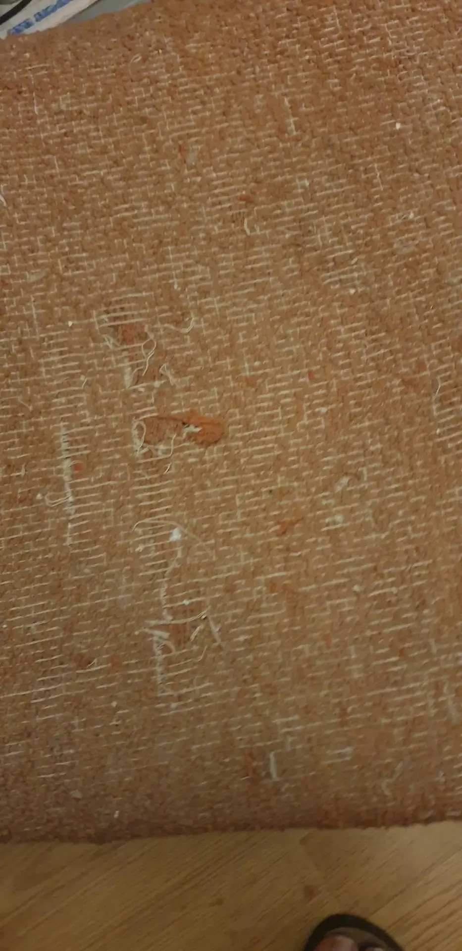 Don n°5