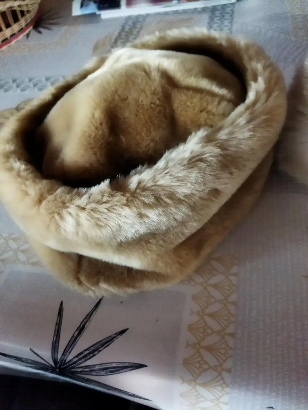 Don n°4