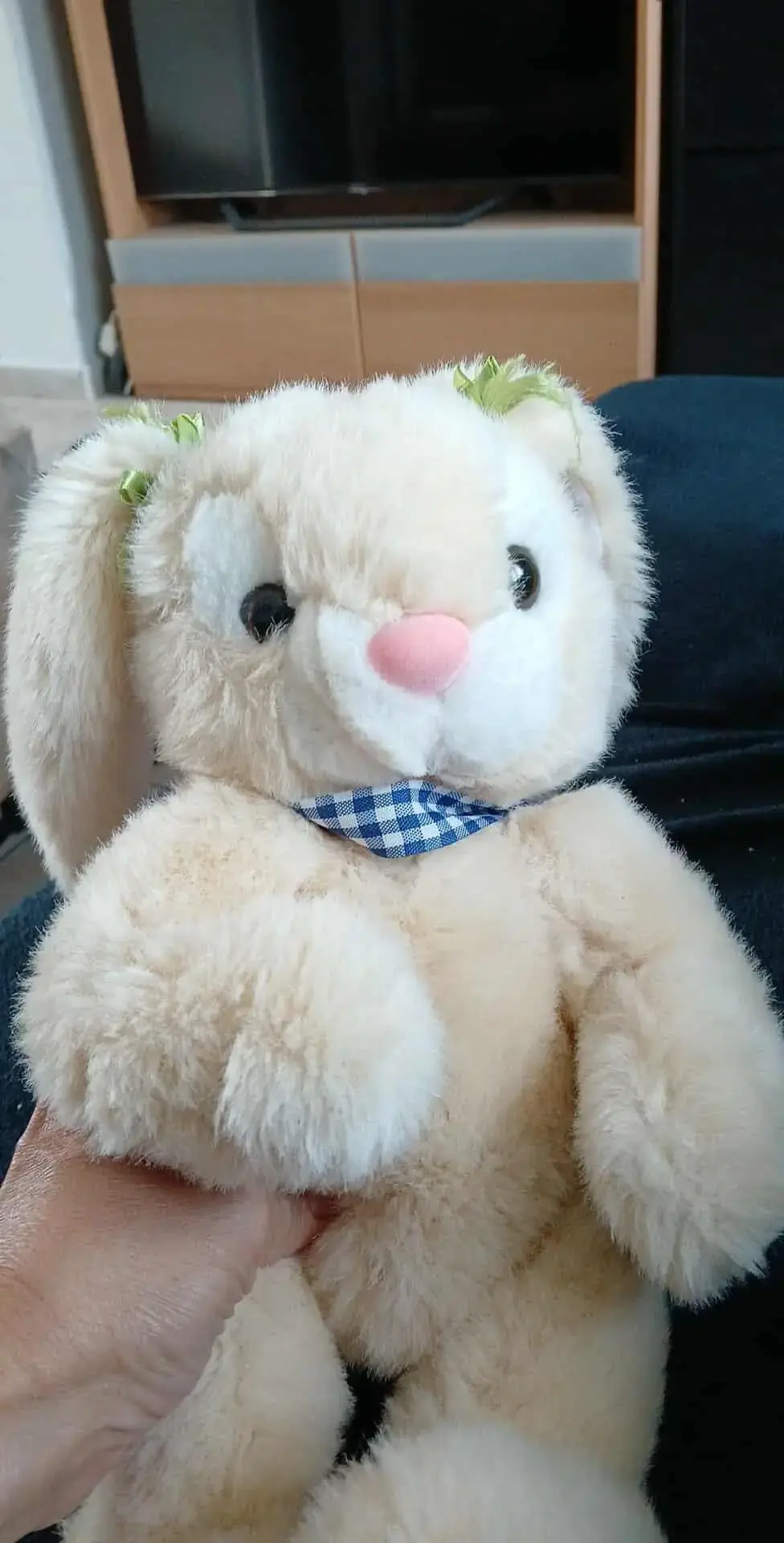 Don n°2