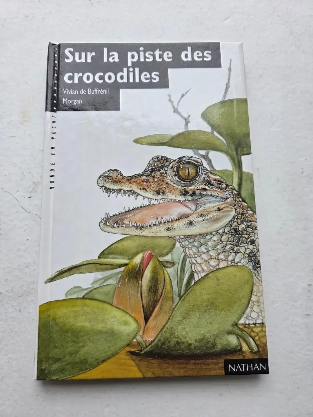 Don n°1