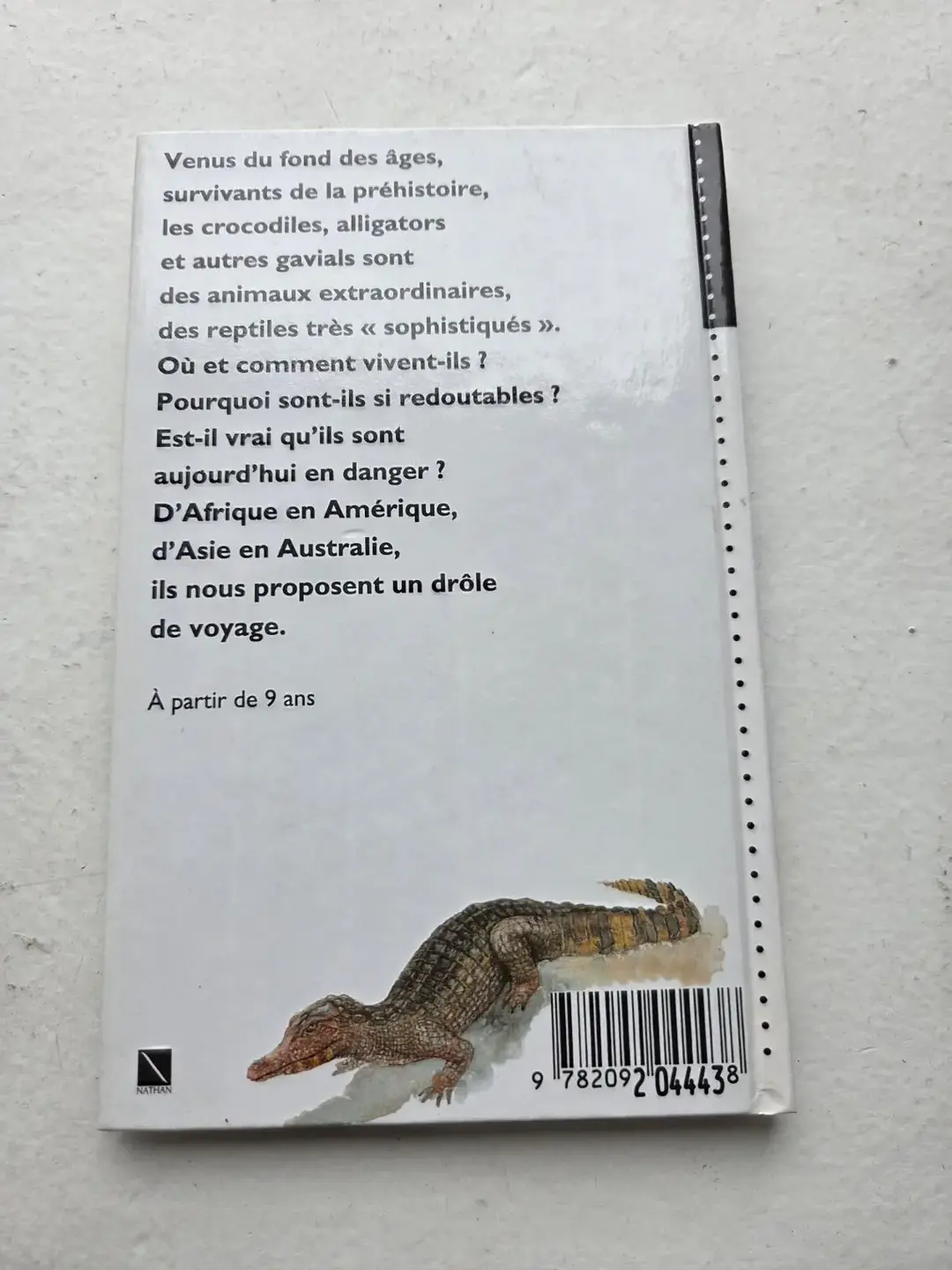 Don n°2