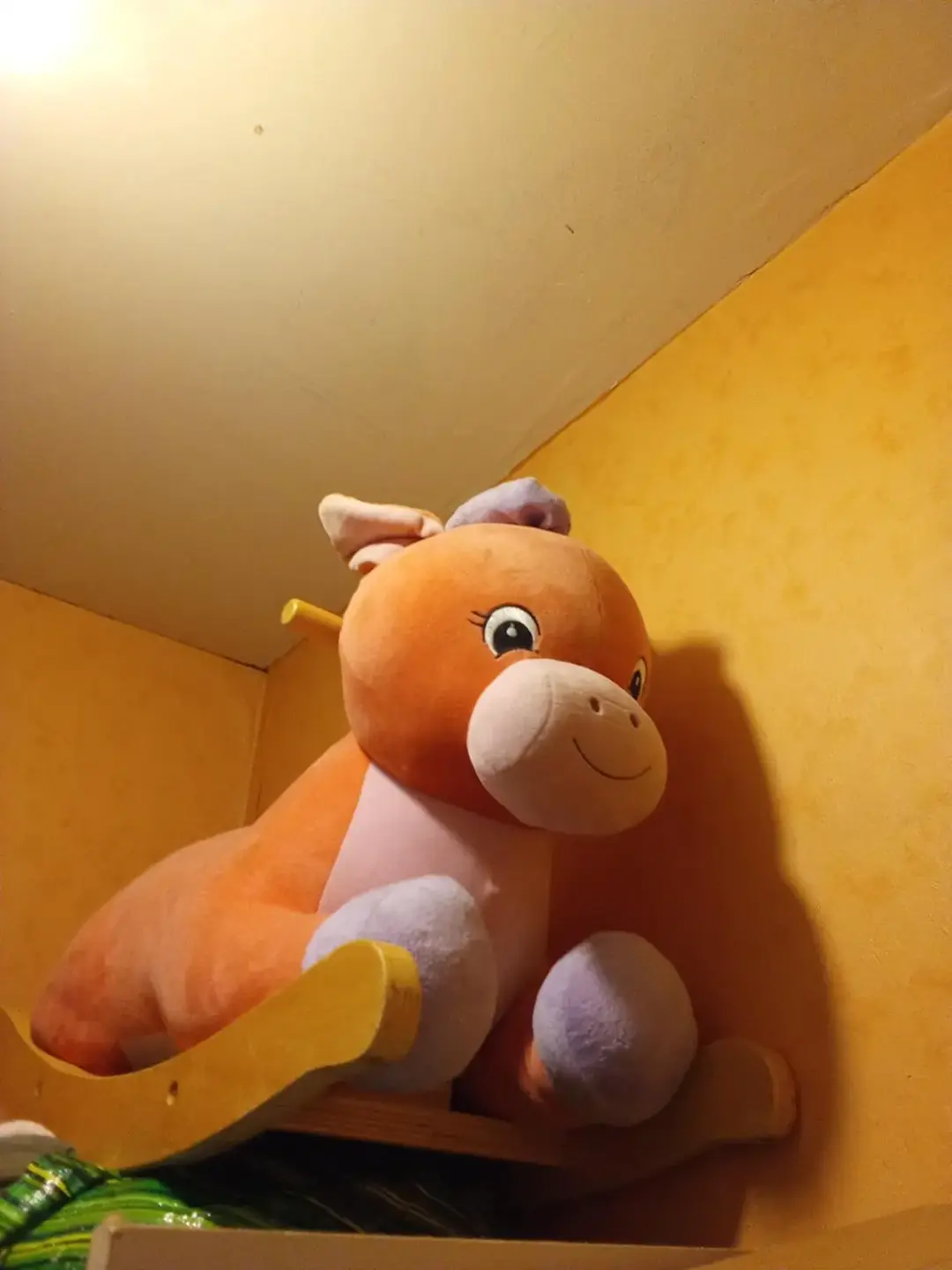 Don n°1