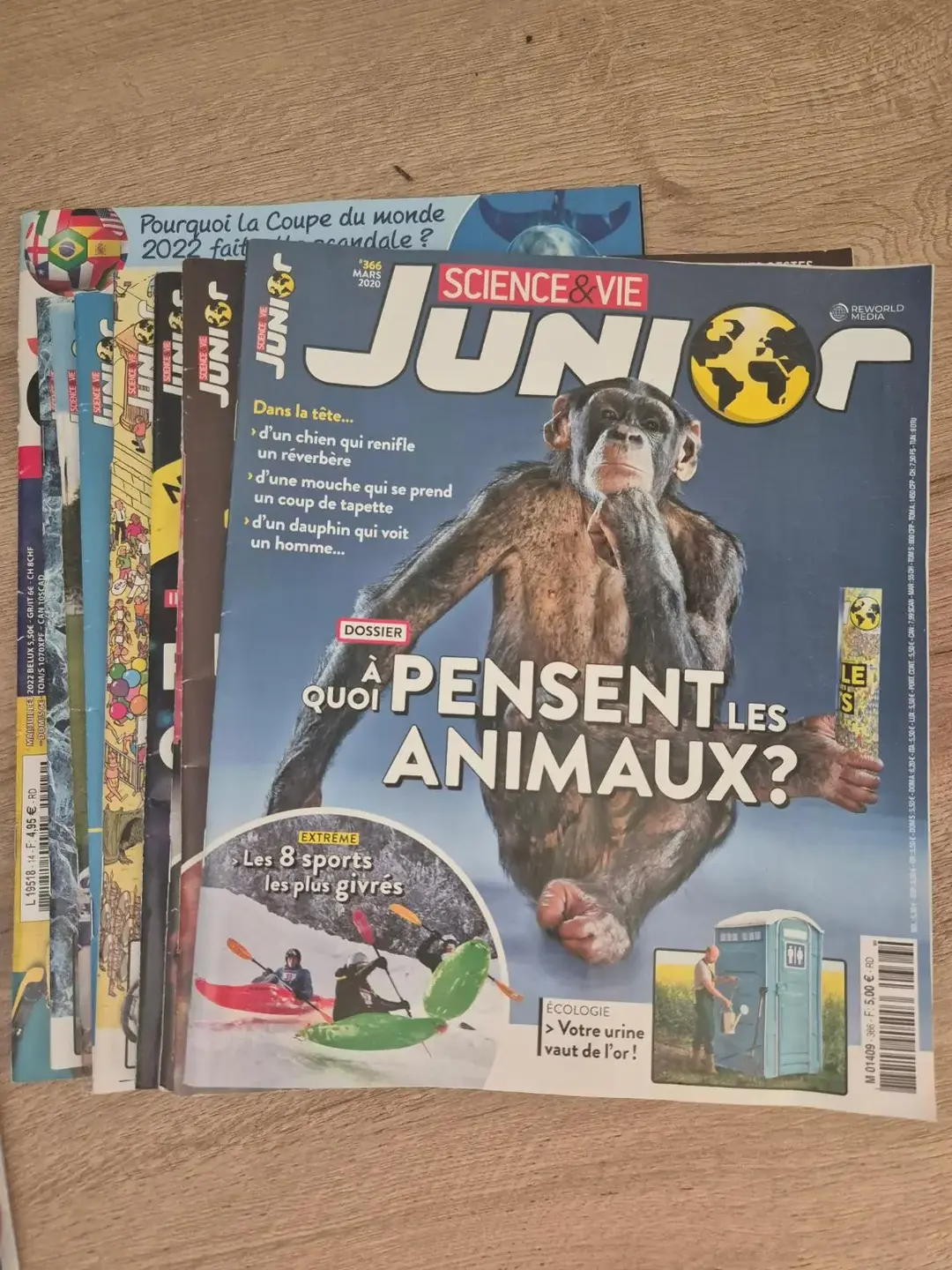 Don n°1