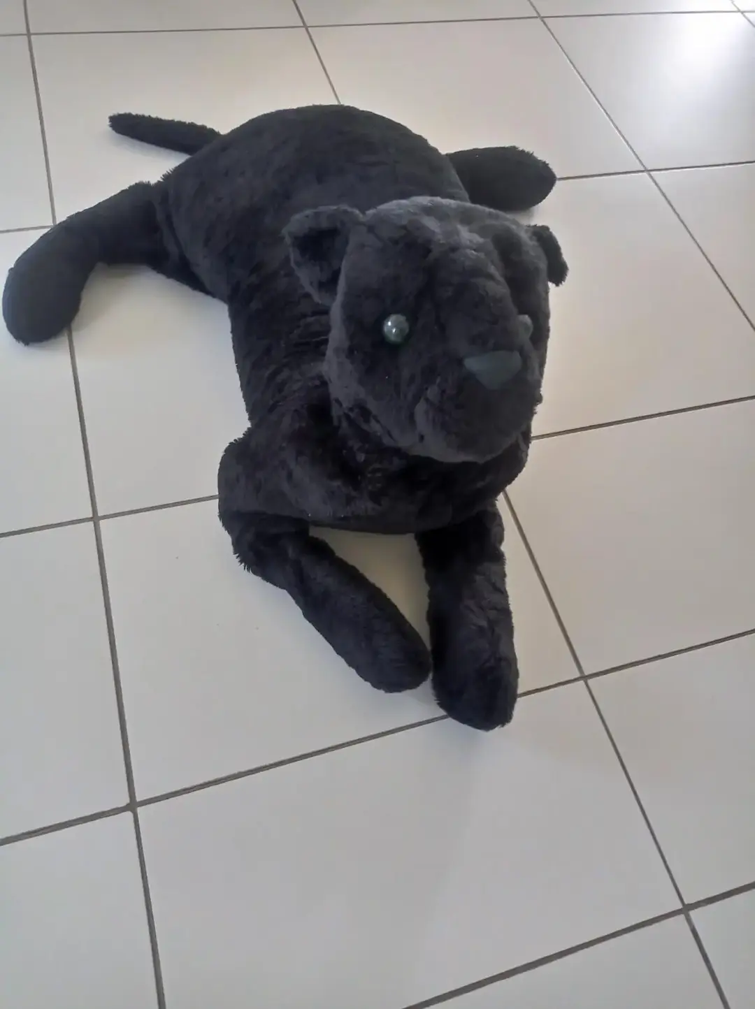 Don n°2