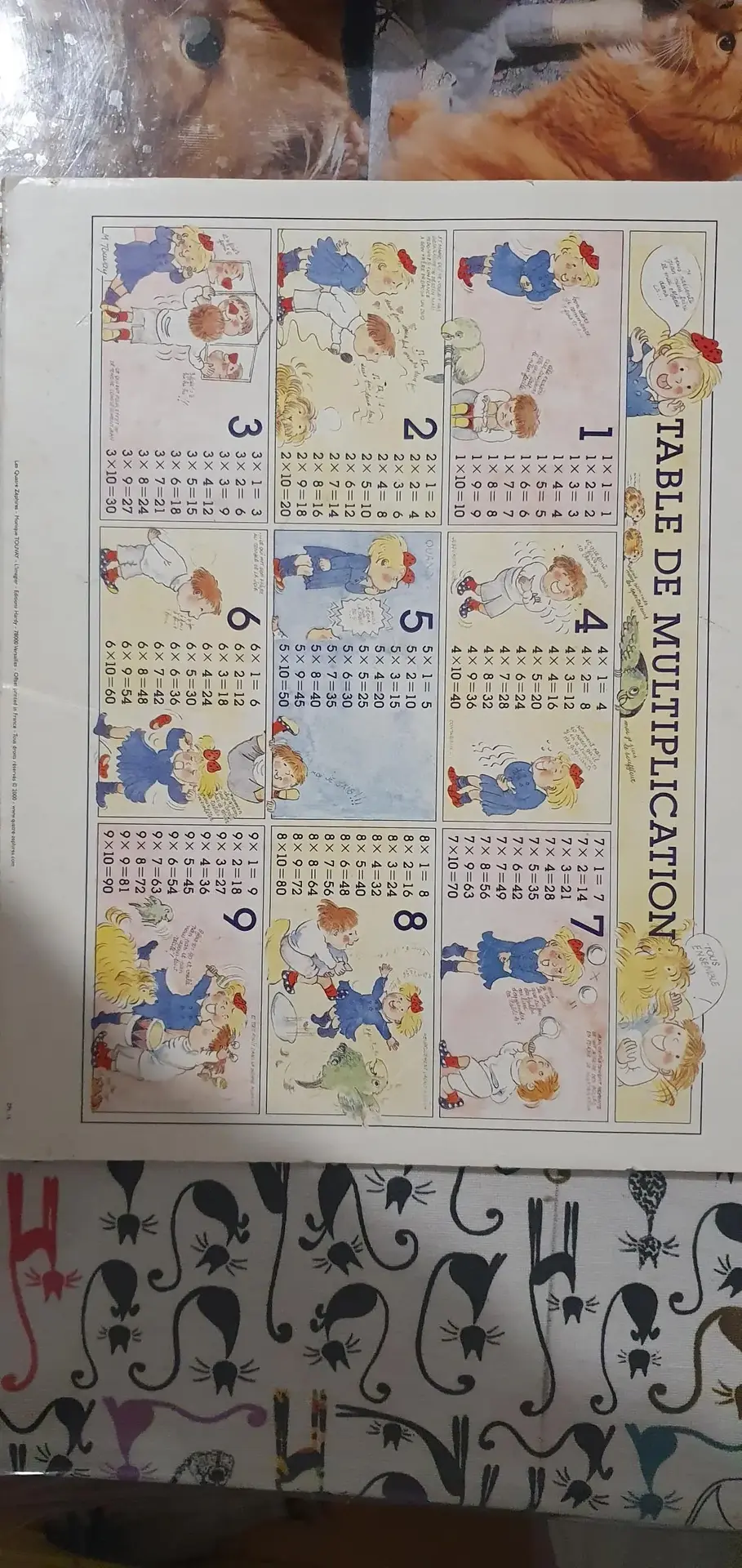 Don n°1