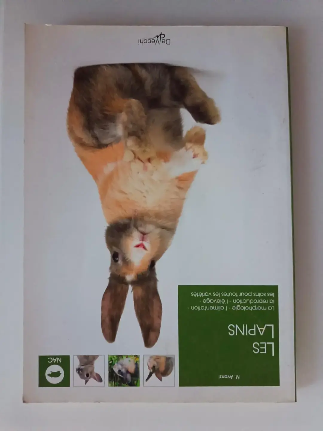 Don n°1