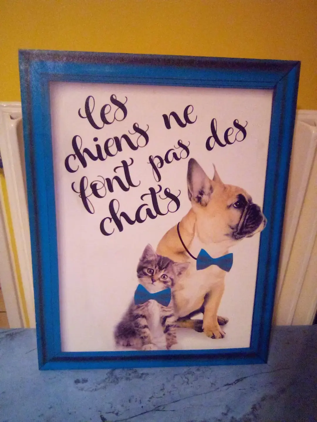 Don n°1