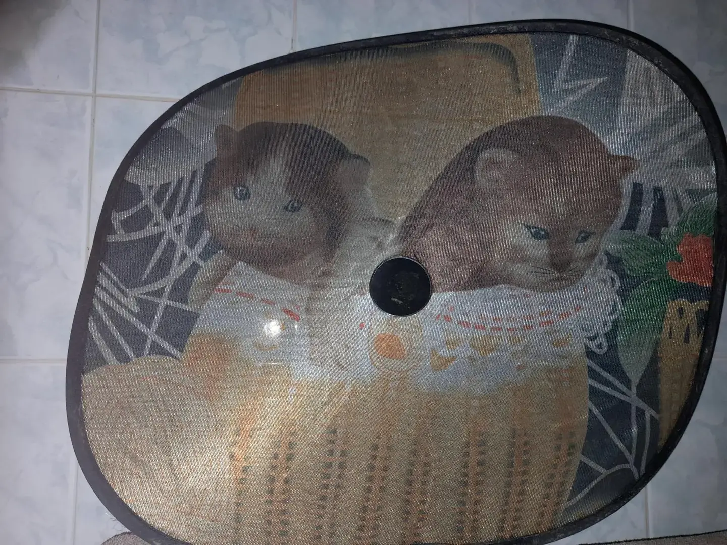 Don n°1
