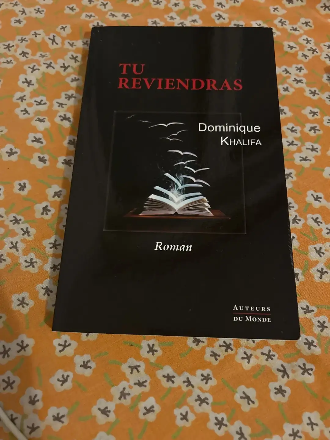 Don n°1