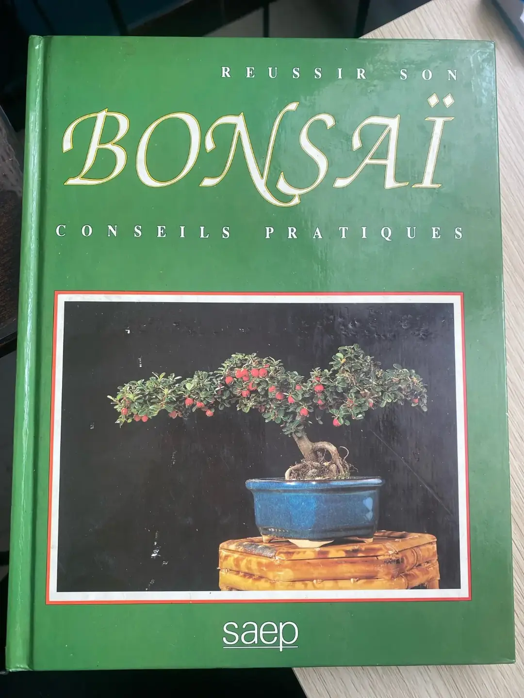 Don n°1